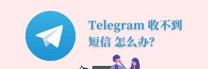 Telegram官网 - telegram image 33
